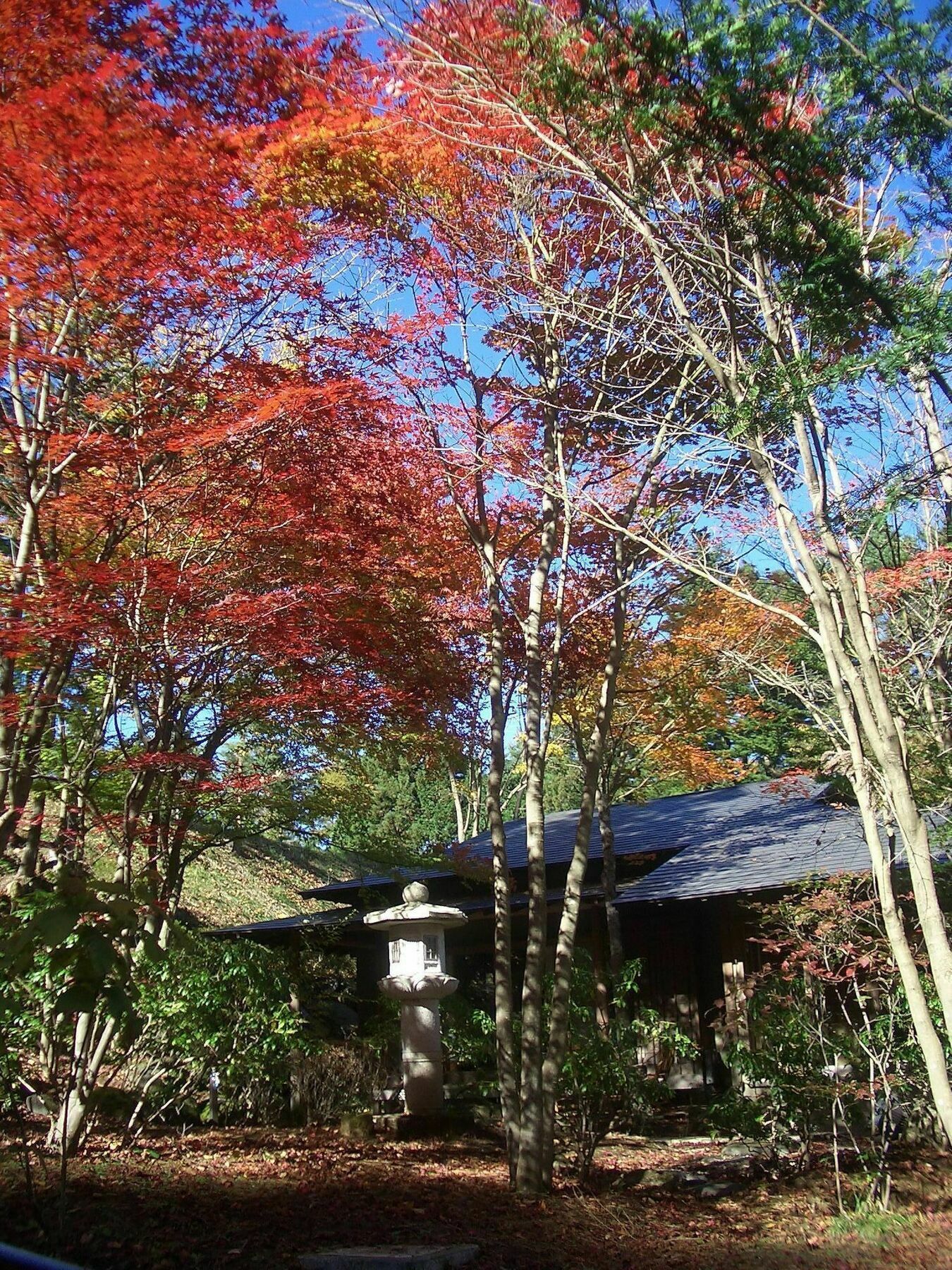 四季亭酒店 富士吉田市 外观 照片